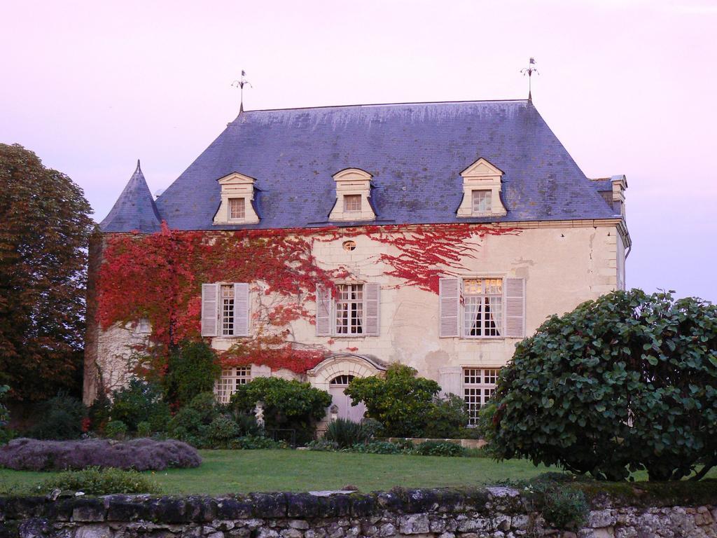Gite Chateau De Chaintres Dampierre-sur-Loire Phòng bức ảnh