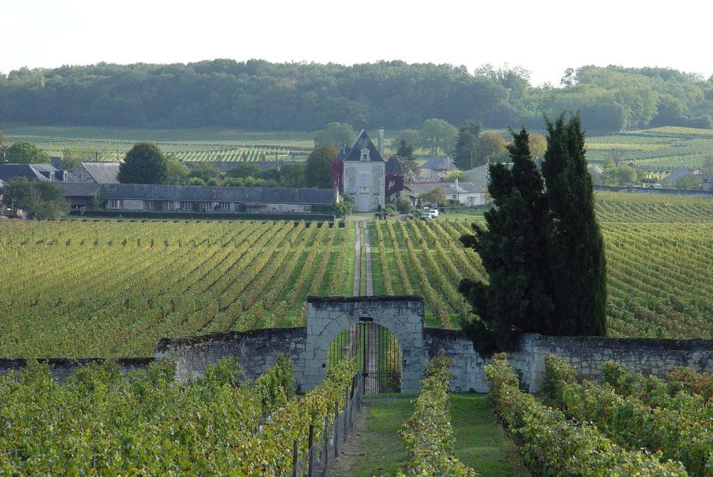 Gite Chateau De Chaintres Dampierre-sur-Loire Phòng bức ảnh