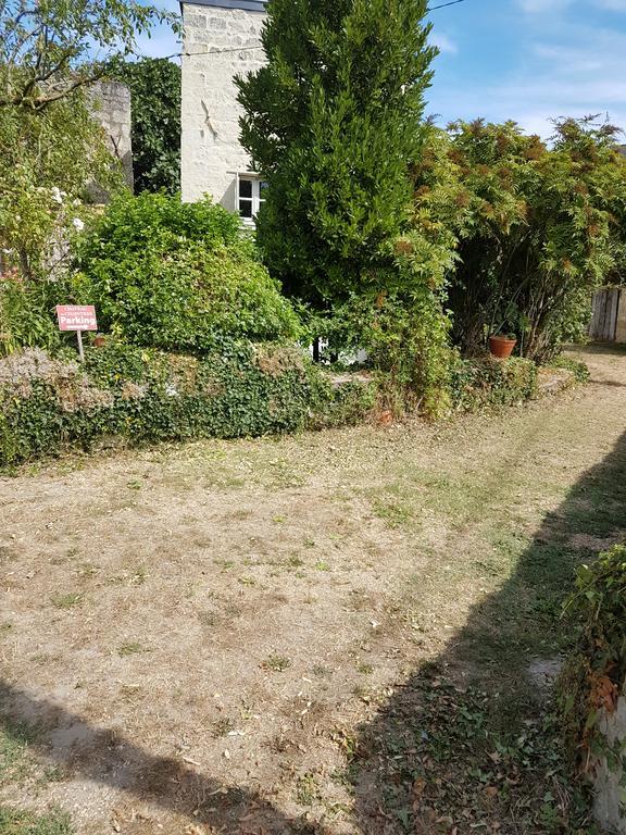 Gite Chateau De Chaintres Dampierre-sur-Loire Ngoại thất bức ảnh